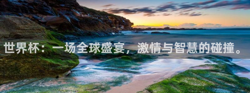 国际足联世界杯：世界杯：一场全球盛宴，激情与智慧的碰撞。