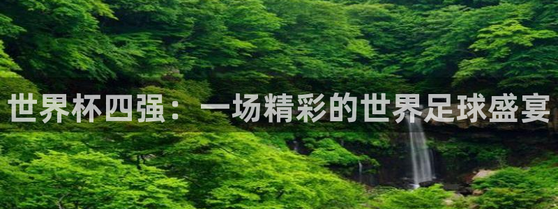 2026 世界杯：世界杯四强：一场精彩的世界足球盛宴