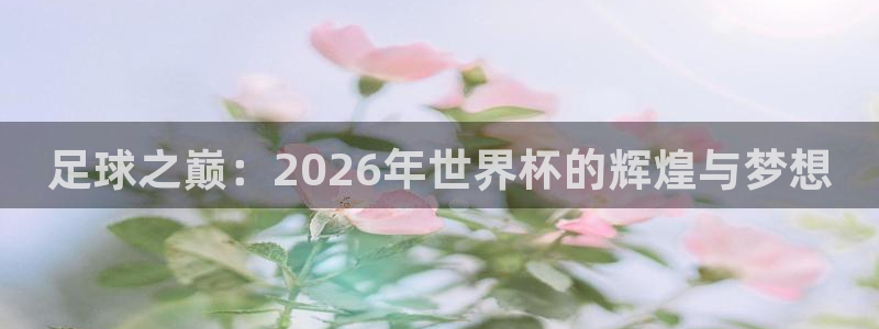2026年世界杯直播平台：足球之巅：2026年世界杯的辉煌与梦想