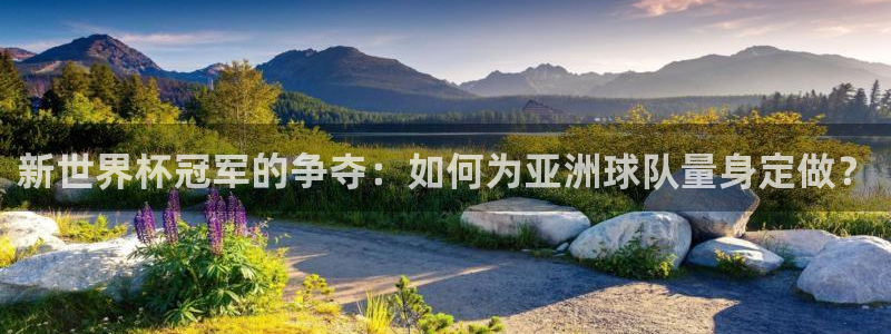 2026世预赛赛程表：新世界杯冠军的争夺：如何为亚洲球队量身定做？