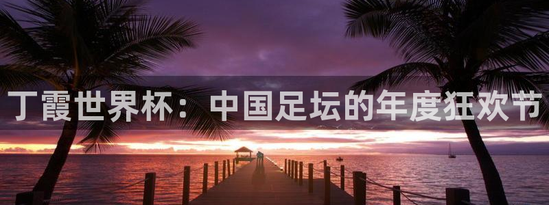 世界杯预选赛欧洲赛区积分榜：丁霞世界杯：中国足坛的年度狂欢节