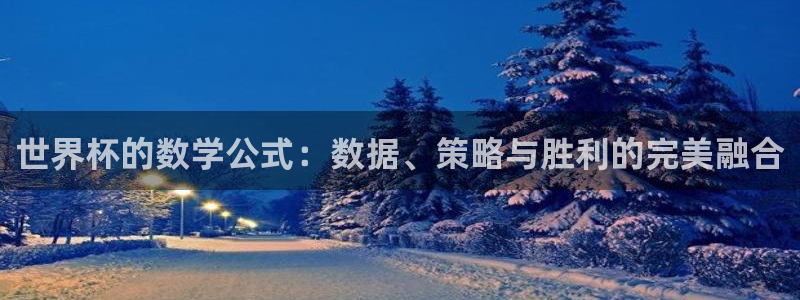 欧洲世预赛赛程表：世界杯的数学公式：数据、策略与胜利的完美融合