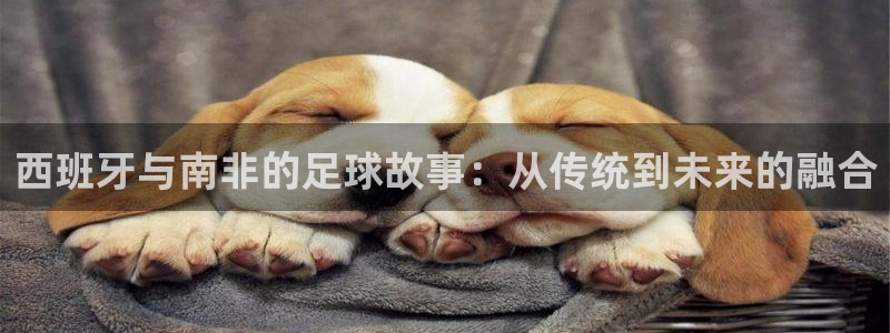 世界杯预选赛亚洲区积分榜：西班牙与南非的足球故事：从传统到未来的融合