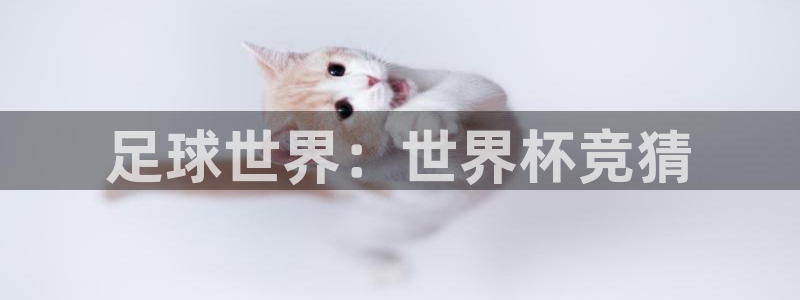 世界杯欧洲区预选赛：足球世界：世界杯竞猜