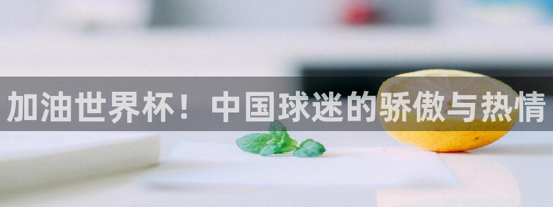 世界杯预选赛规则：加油世界杯！中国球迷的骄傲与热情