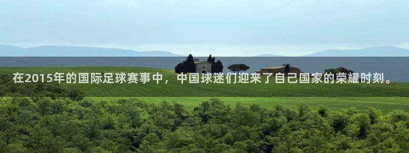 2026年世界杯直播平台：在2015年的国际足球赛事中，中国球迷们迎来了自己国家的荣耀时刻。