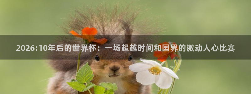 澳门世界杯直播：2026:10年后的世界杯：一场超越时间和国界的激动人心比赛