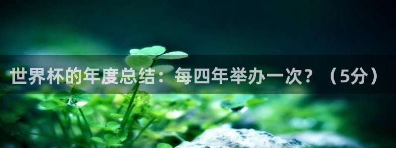 美国世界杯：世界杯的年度总结：每四年举办一次？（5分）
